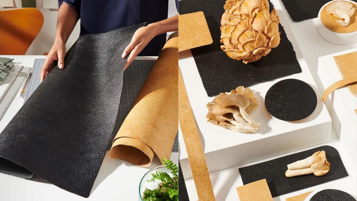 Mylo (Mushroom Leather)
