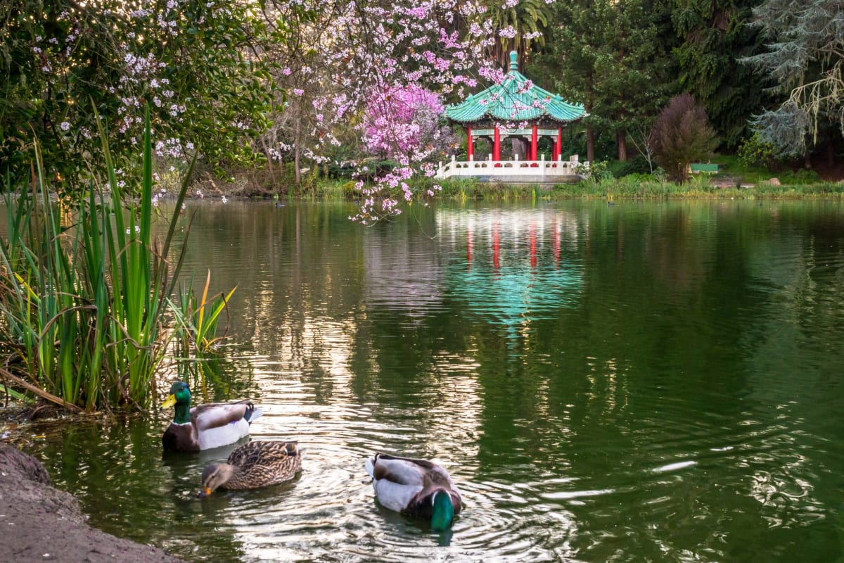Stow Lake