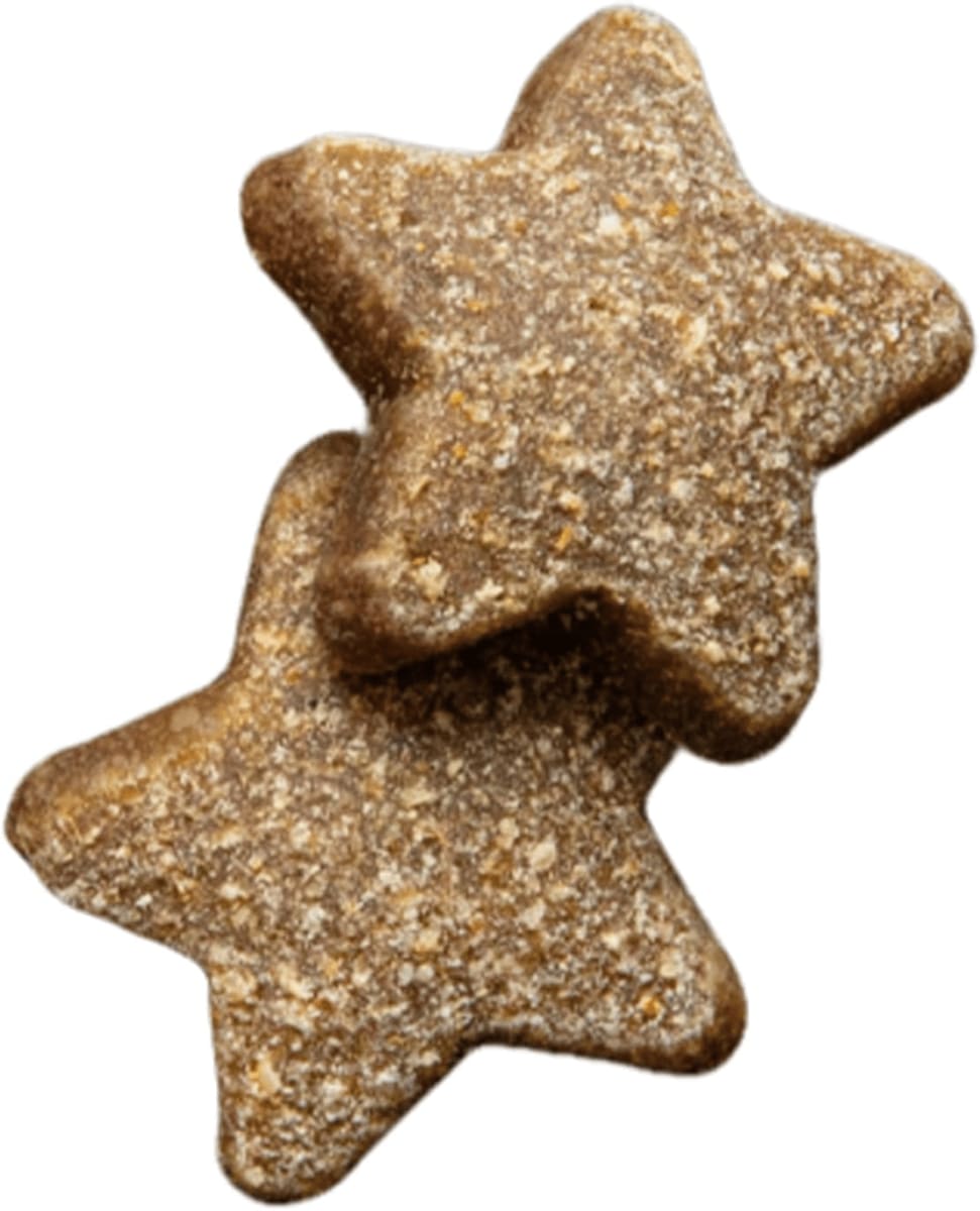 Merrick Power Bites Real Texas Beef Recipe Treats