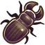 Scarites Beetle