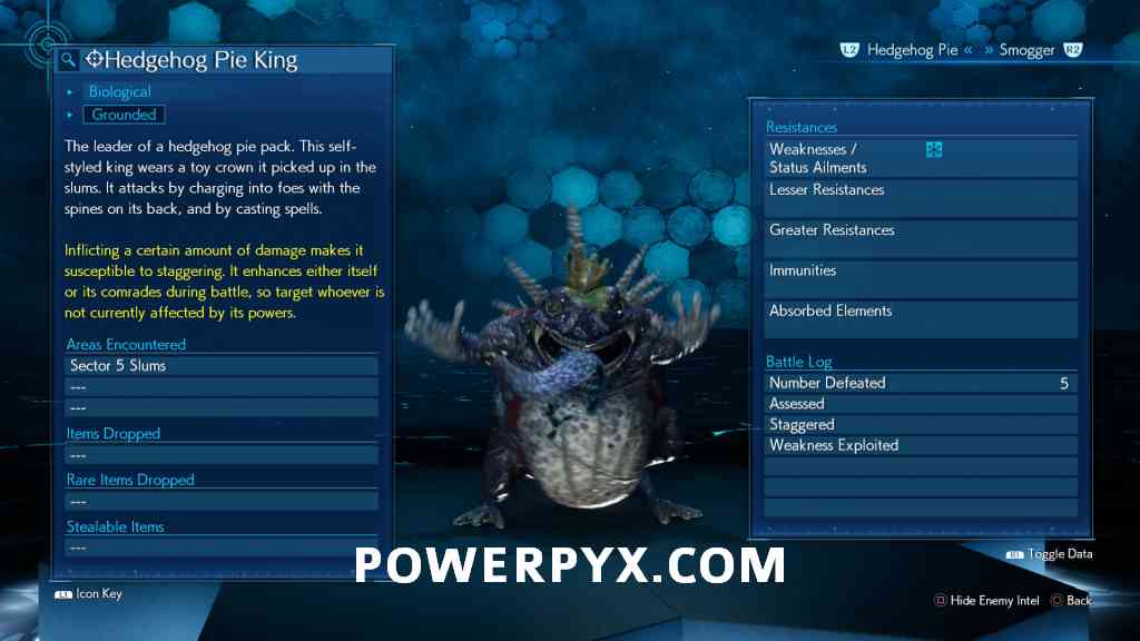 Hedgehog Pie King