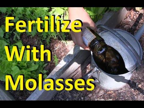 Fertilize
