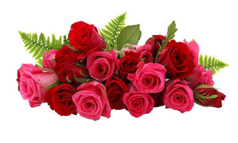 PNG Images