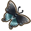Spicebush Swallowtail Butterfly