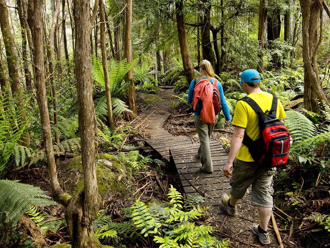 Go on a hike in the Dandenong Ranges