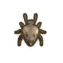 Stinkbug