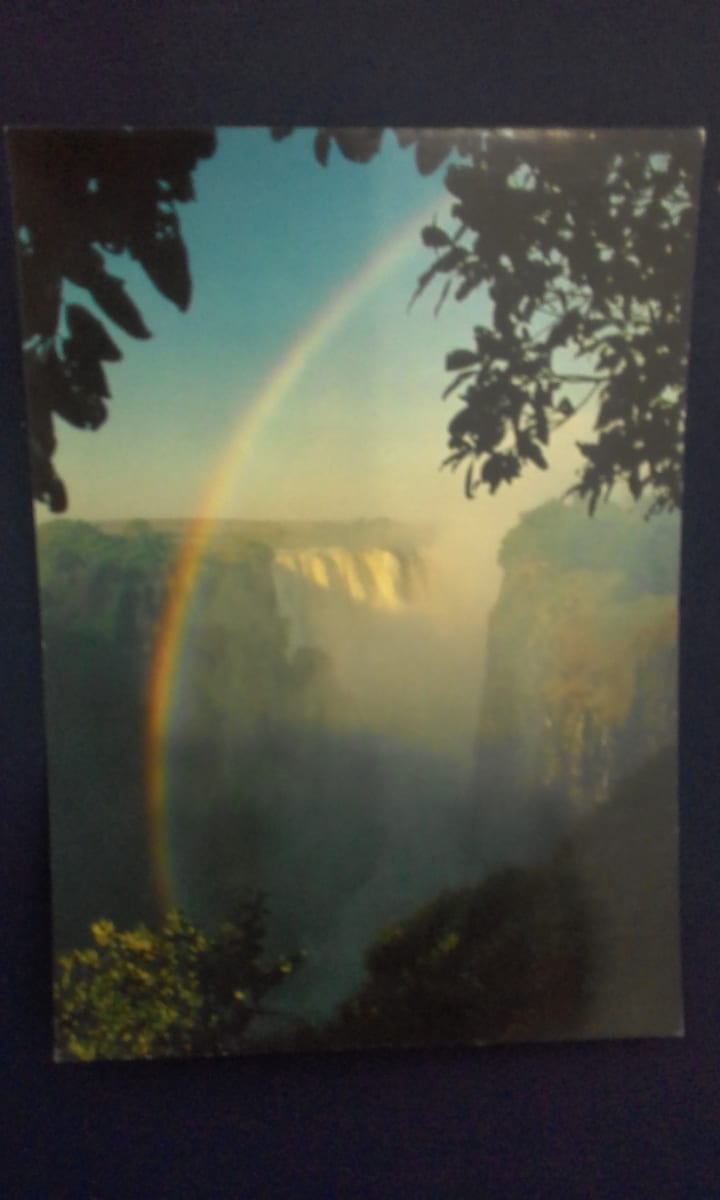 Victoria Falls - Portrait