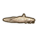 Eel Tailed Catfish