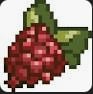 Raspberry