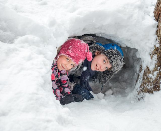 Build an Igloo or a snow fort