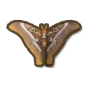 Hercules Moth