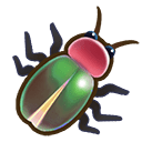 Firefly