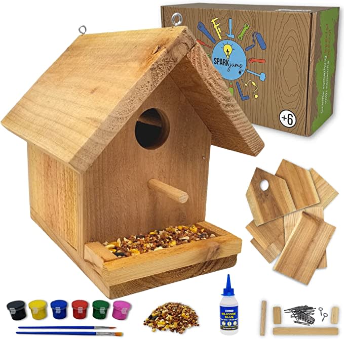Jr Birdhouse Kit with Paint Set