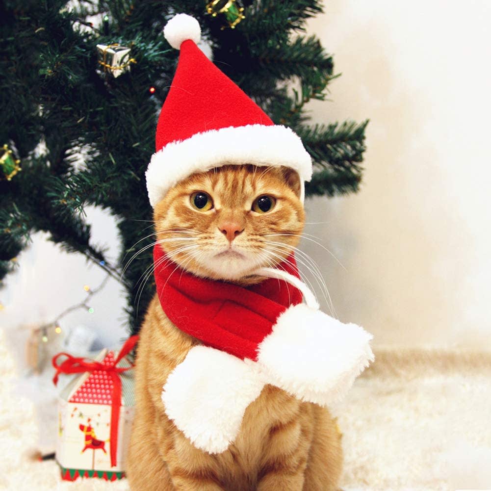 Cat Santa Hat with Scarf