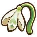 Snow Drop