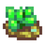 Ocean Stone