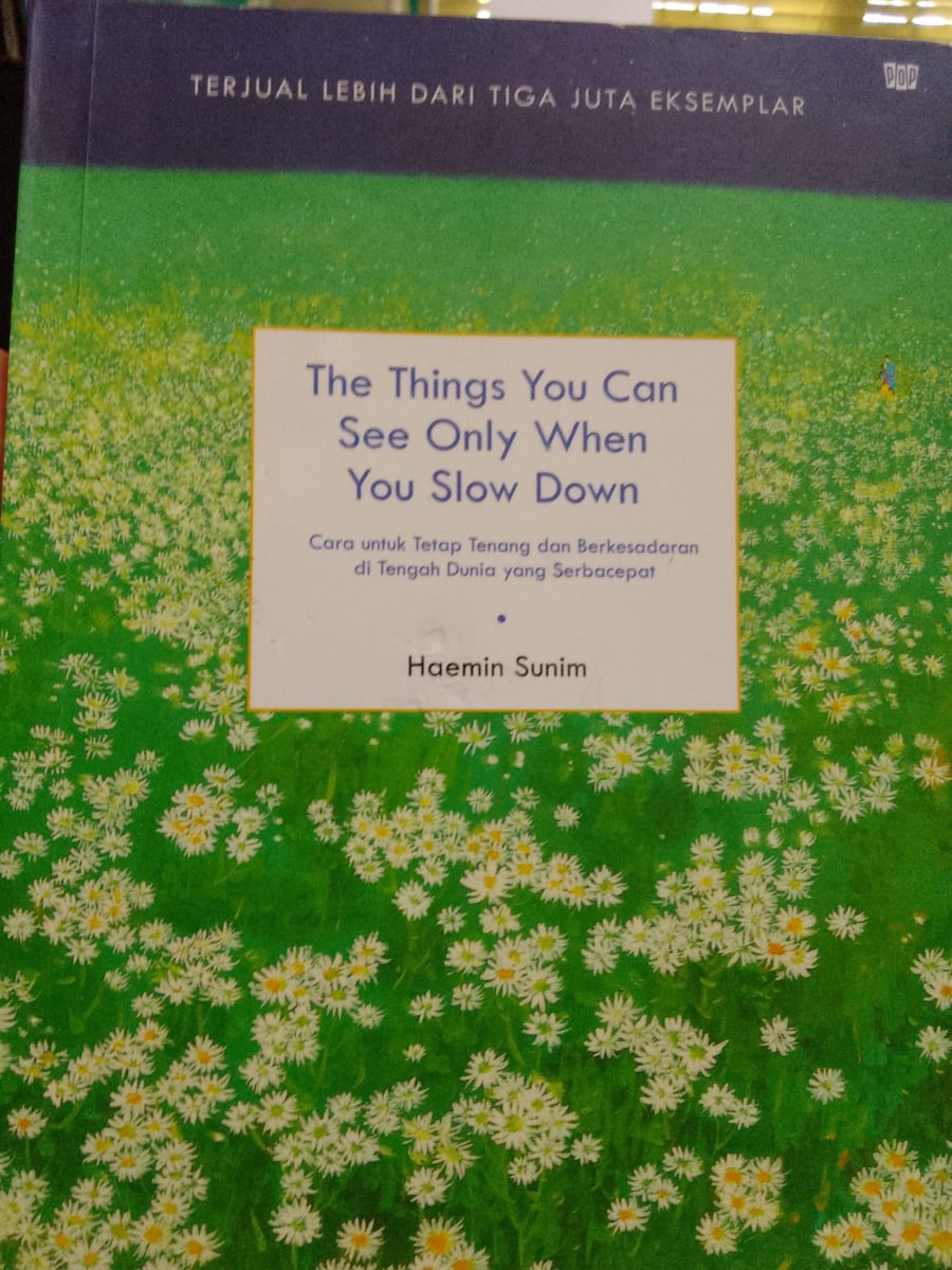 THE THINGS YOU CAN SEE ONLY WHEN YOU SLOW DOWN