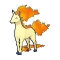 Rapidash