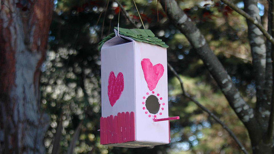 Make a birdhouse