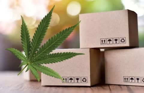 Cannabis seed packaging
