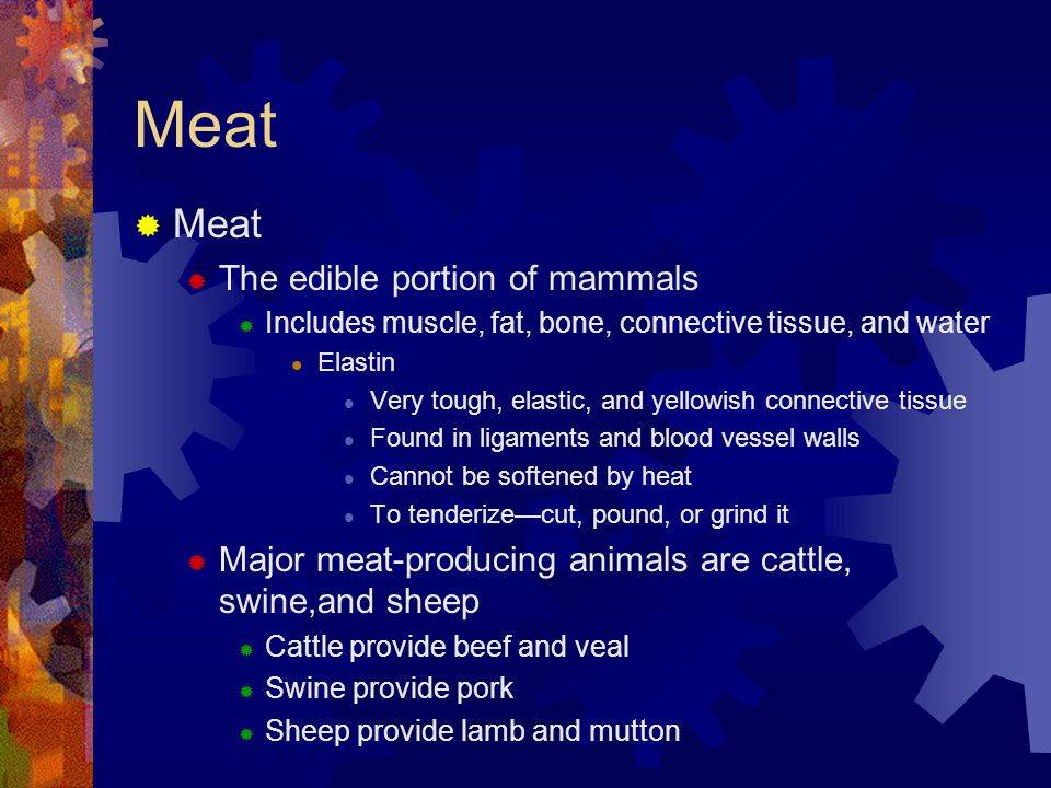 Fish, poultry and other meat bones