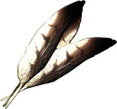 Hawk Feathers