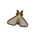 Firefly
