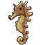 Jayakar's Seahorse