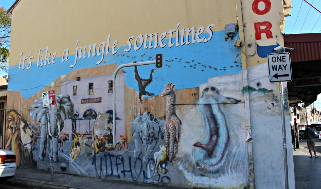 Explore the street art and murals in the inner-west neighborhood of Enmore