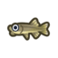 Nibble Fish