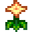Summer Spangle
