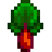 Rhubarb