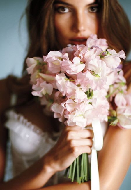 - Sweet Pea