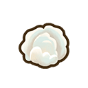 Wool