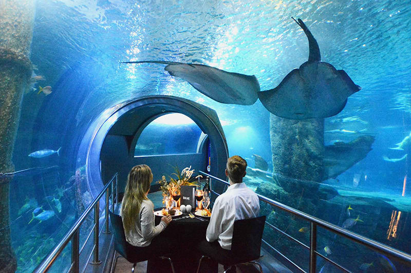 Visit the Melbourne Aquarium