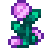 Fairy Rose