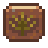 Palm Fossil