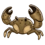 Stone Crab