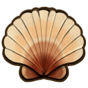 King Scallop