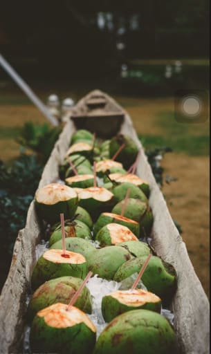 Organize green coconuts