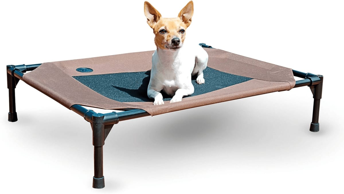 Outdoor Dog Beds