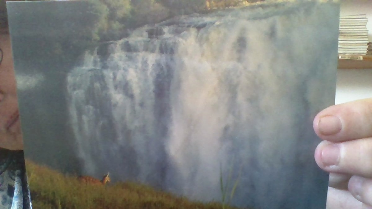Victoria Falls with a Bushbuck