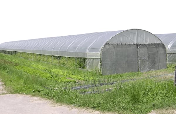 Agricultural Buildings