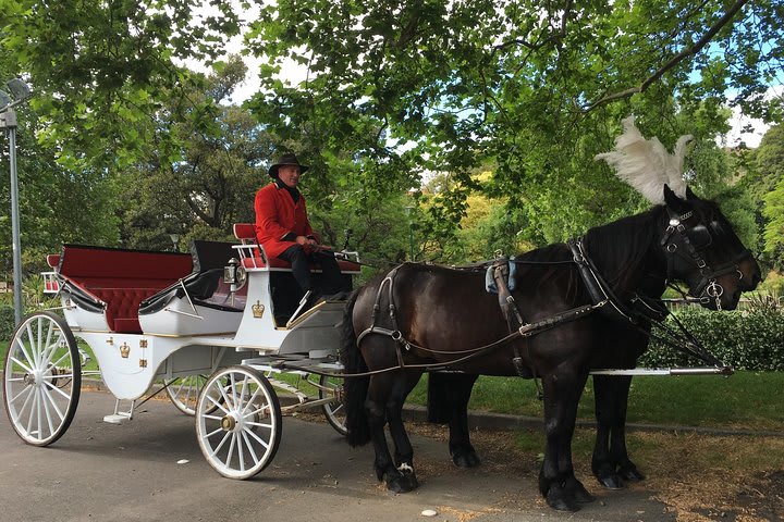Horse-drawn carriage ride through the Royal Botanic Garden