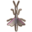 Purple-Winged Mantis