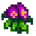 Sweet Pea