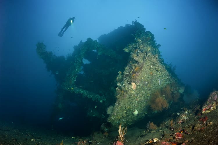 Dive the Liberty Shipwreck