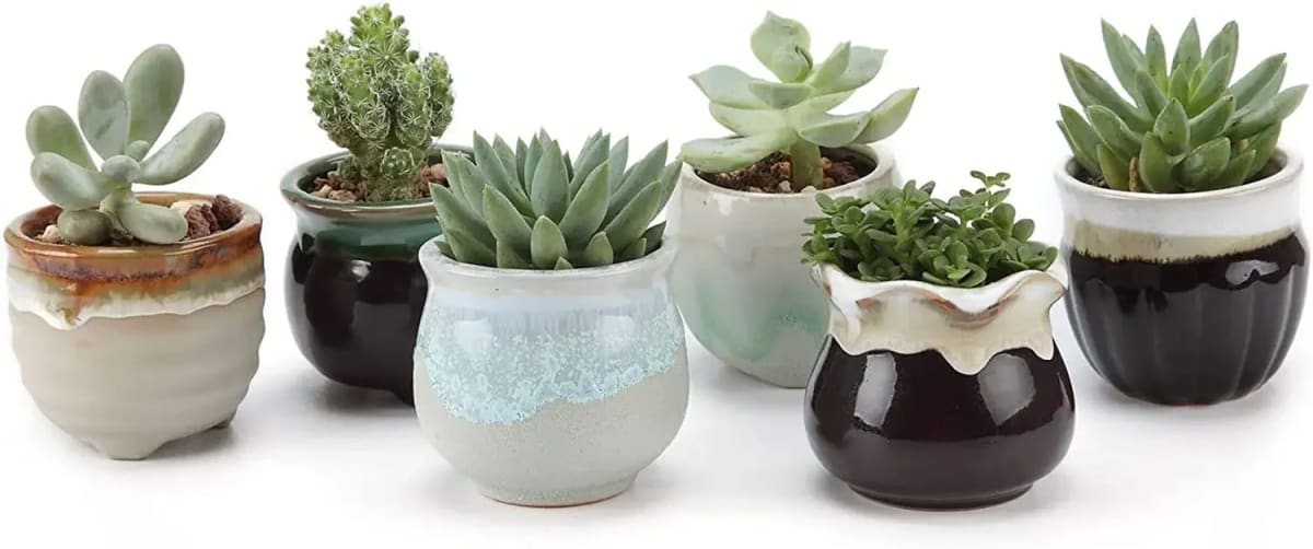 Small Ceramic Succulent Pots with Drainage Set of 6, Mini Pots for Plants, Tiny Porcelain Planter