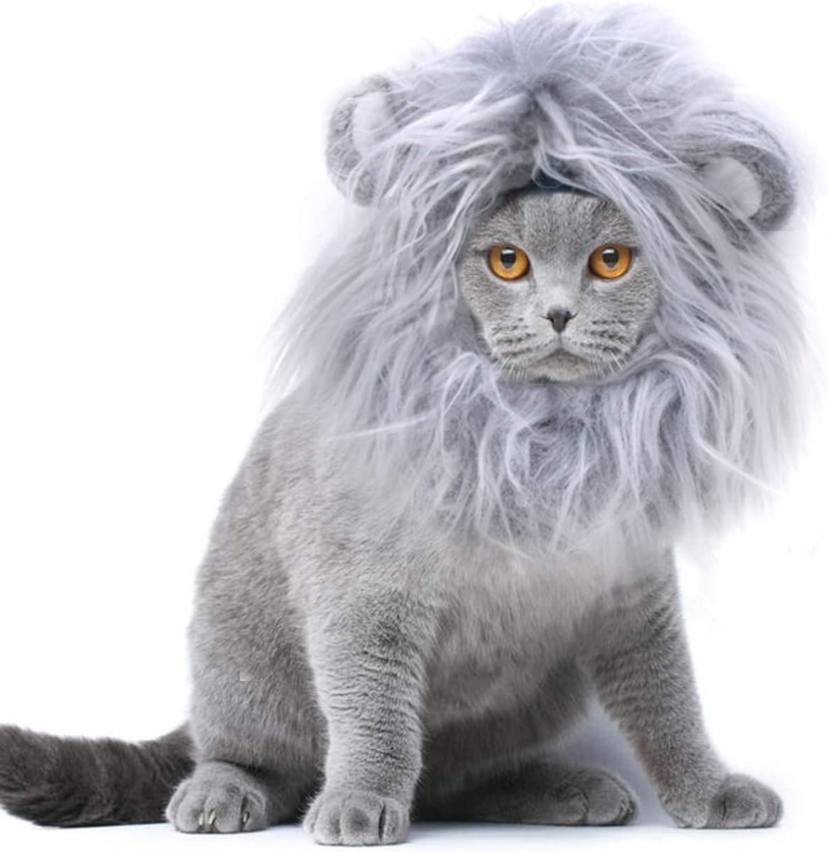 Lion Mane Wig for Cats