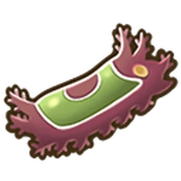 Saddleback Caterpillar